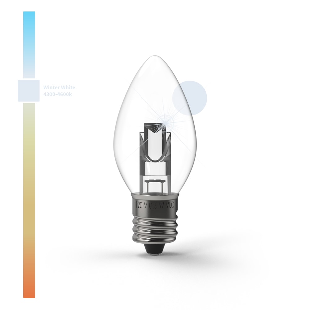 Projektor-Serie TM LED-Lampen (Box von 25)