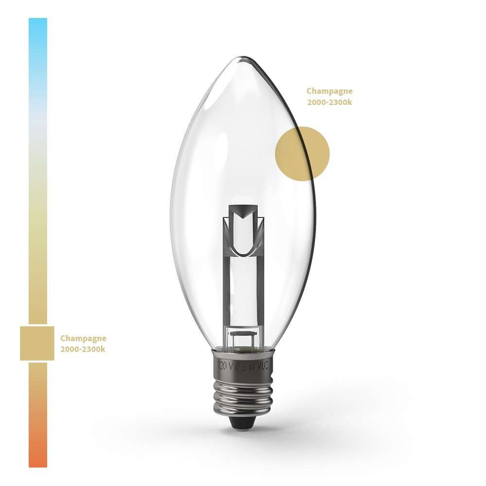Projektor-Serie TM LED-Lampen (Box von 25)
