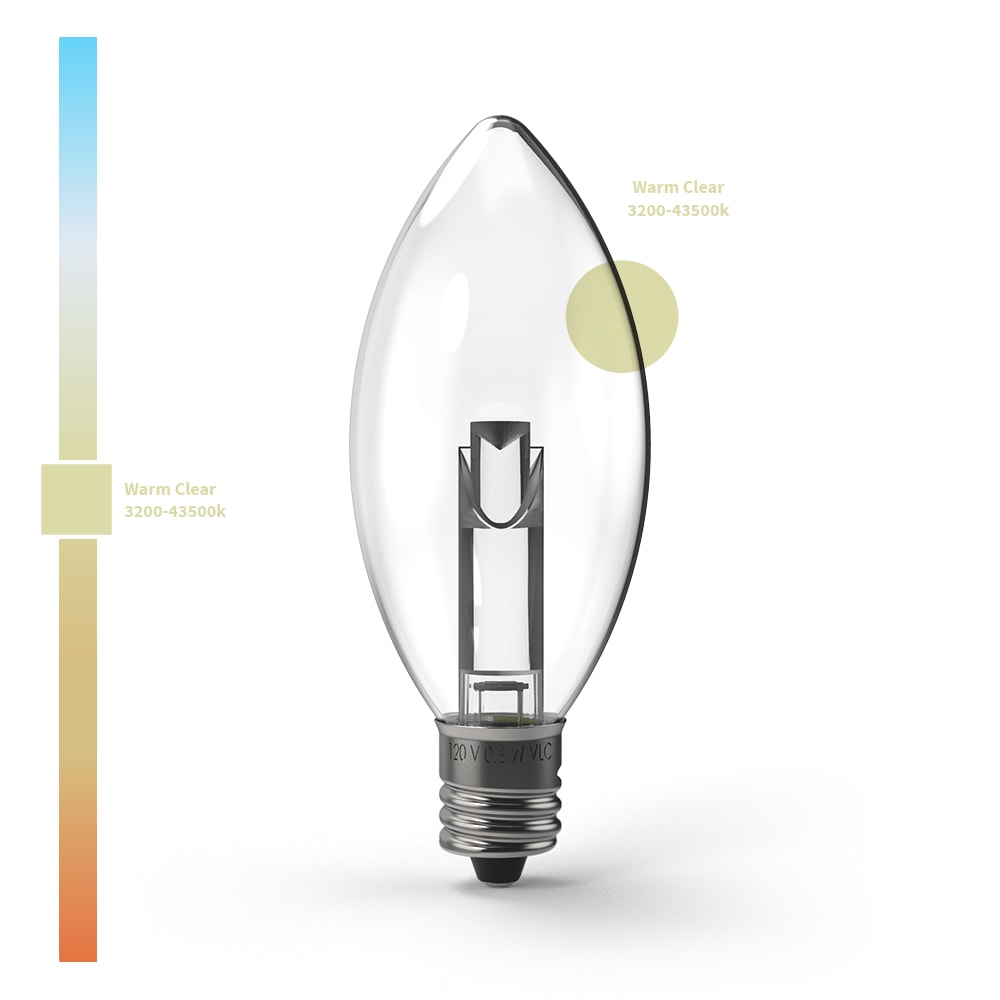 Projektor-Serie TM LED-Lampen (Box von 25)