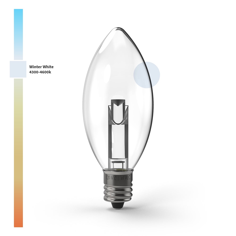Projektor-Serie TM LED-Lampen (Box von 25)