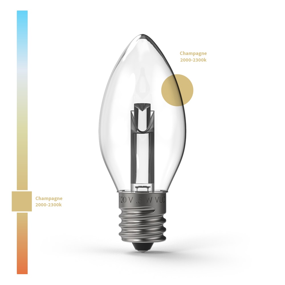 Projektor-Serie TM LED-Lampen (Box von 25)