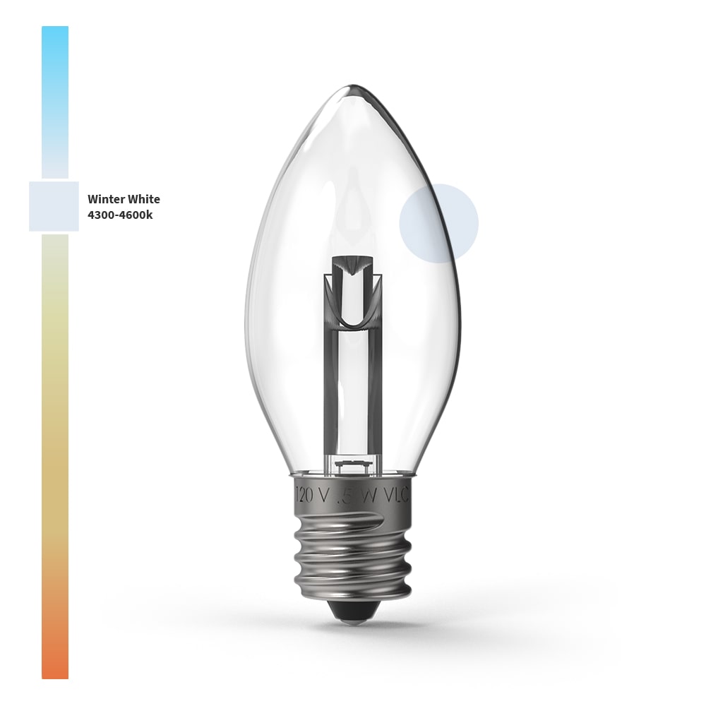 Projektor-Serie TM LED-Lampen (Box von 25)