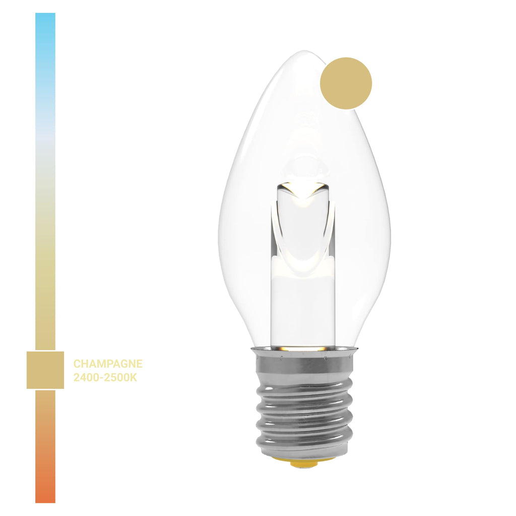 Projektor-Serie TM LED-Lampen (Box von 25)