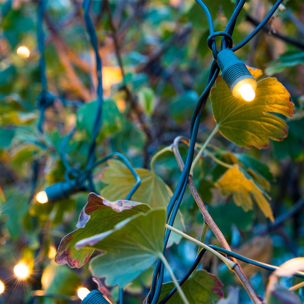 Weihnachts-LED Net Lights
