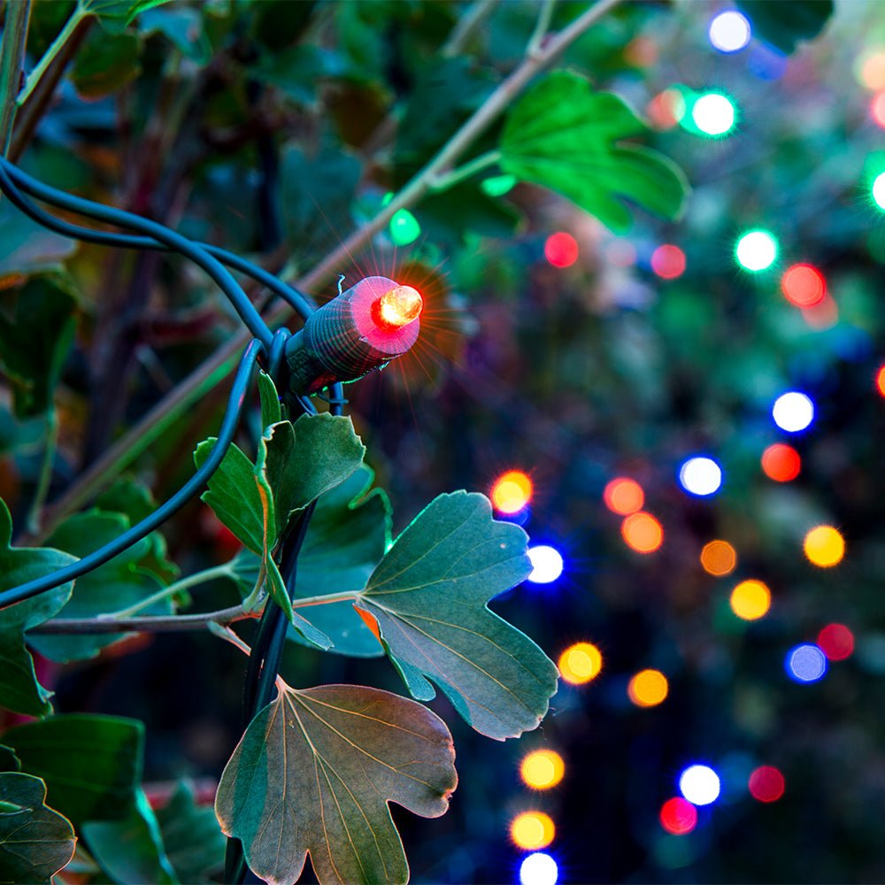 Weihnachts-LED Net Lights