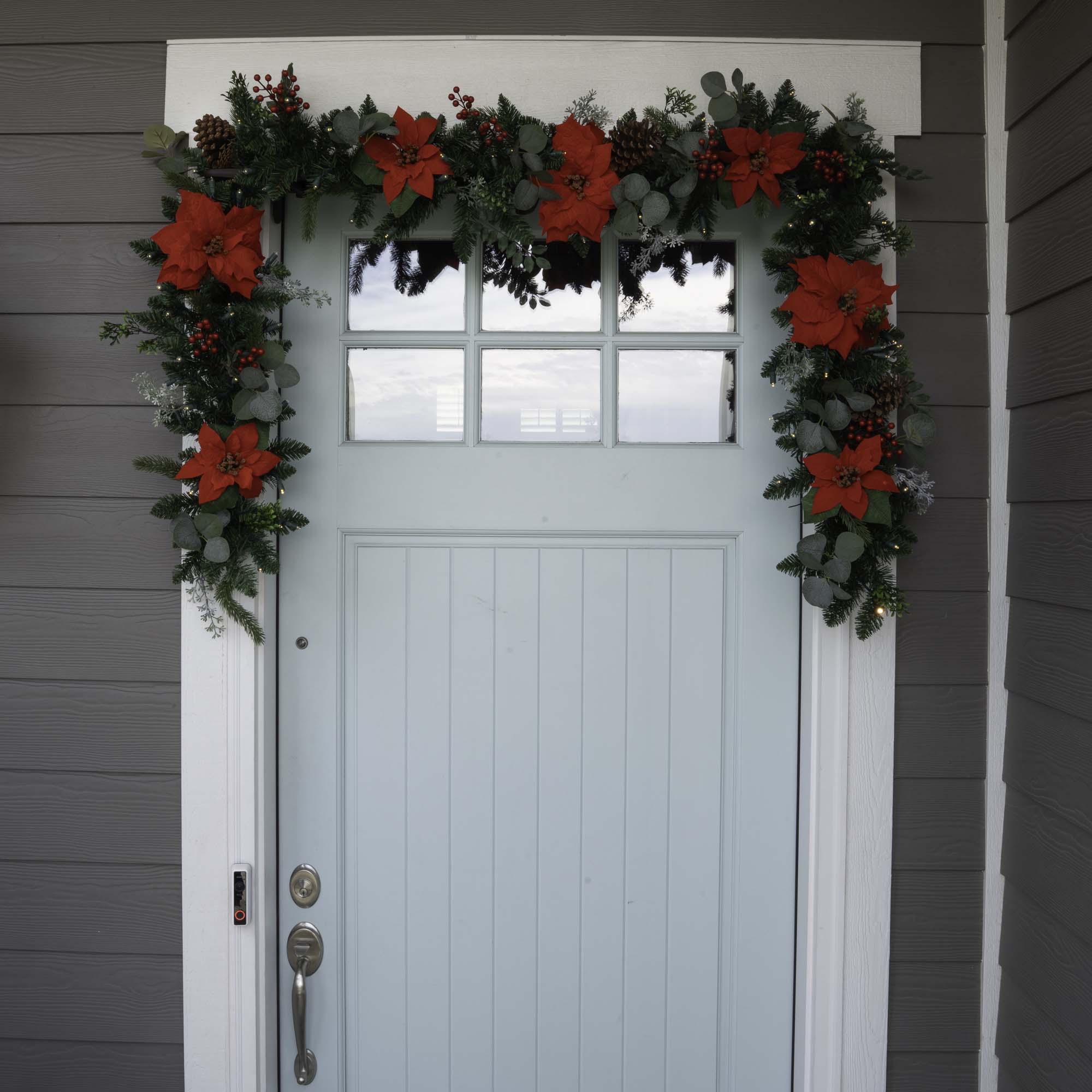 Weihnachts-Poinsettia Weihnachtsgarnelen