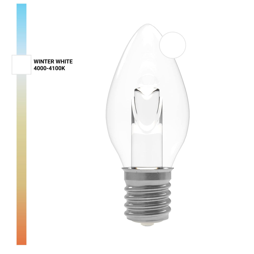 Projektor-Serie TM LED-Lampen (Box von 25)