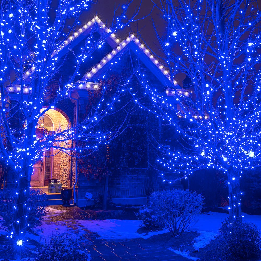 LED Mini Zeichenfolge von Lichtern